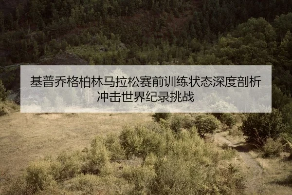 ji-pu-qiao-ge-bo-lin-ma-la-song-sai-qian-xun-lian-zhuang-tai-shen-du-pou-xi-chong-ji-shi-jie-ji-lu-tiao-zhan-2-375.jpg