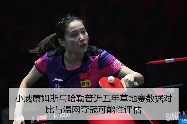 xiao-wei-lian-mu-si-yu-ha-lei-pu-jin-wu-nian-cao-di-sai-shu-ju-dui-bi-yu-wen-wang-duo-guan-ke-neng-xing-ping-gu-2-255.jpg